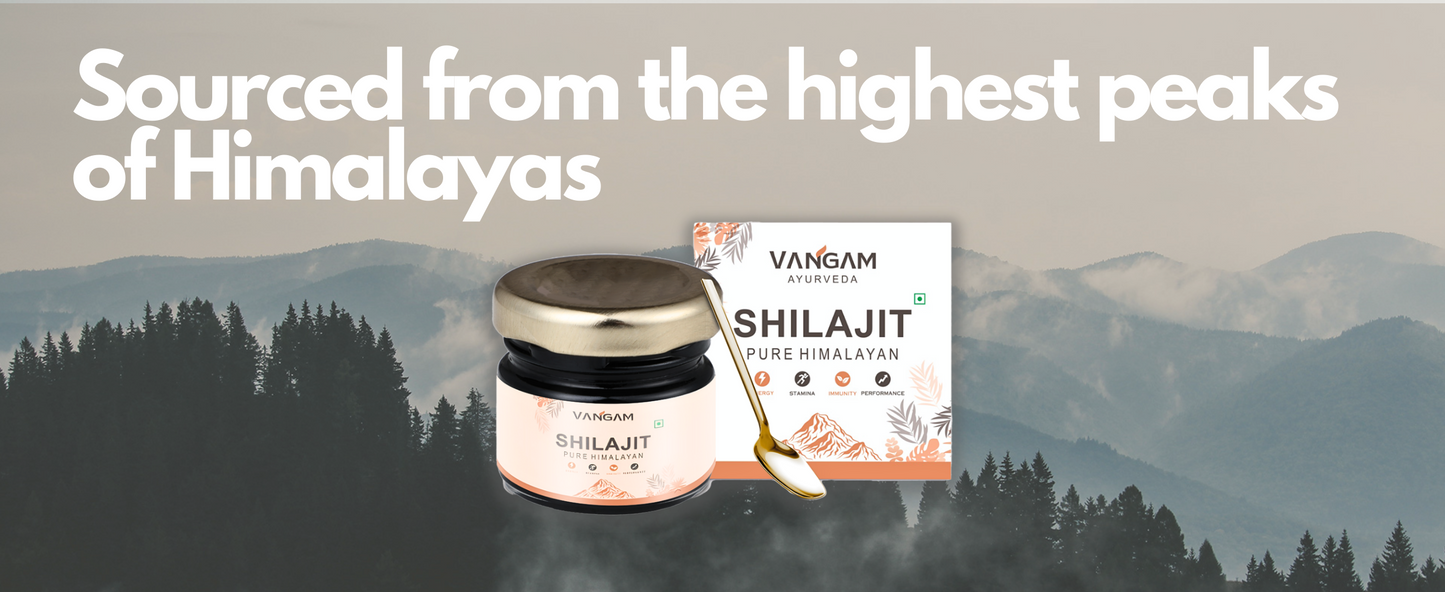 Vangam Pure Himalayan Shilajit