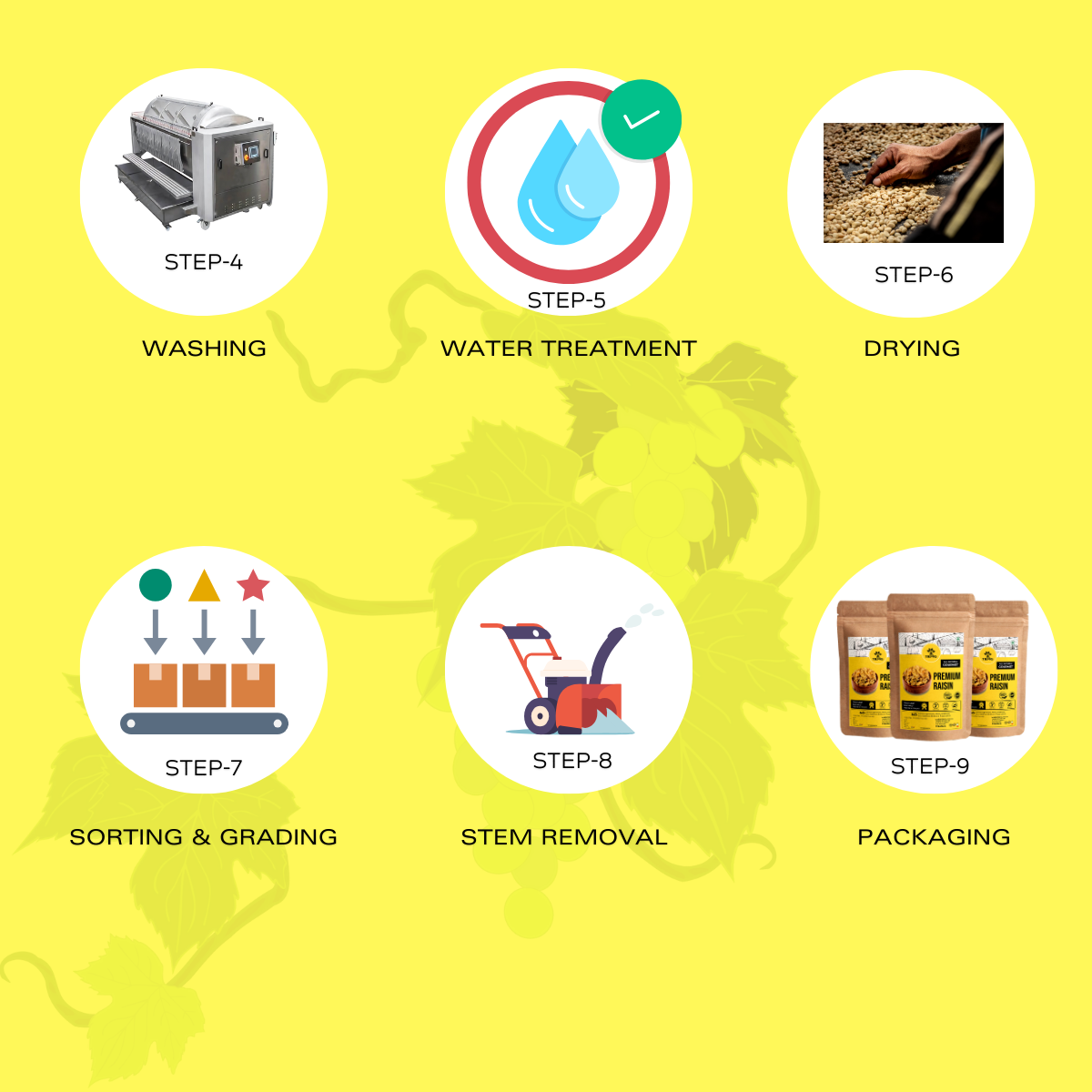 Trivang Premium Raisins