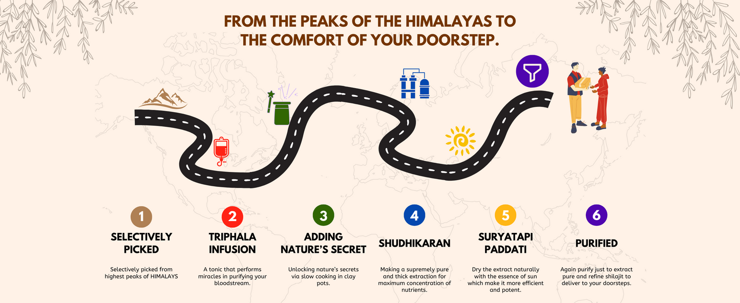 Vangam Pure Himalayan Shilajit