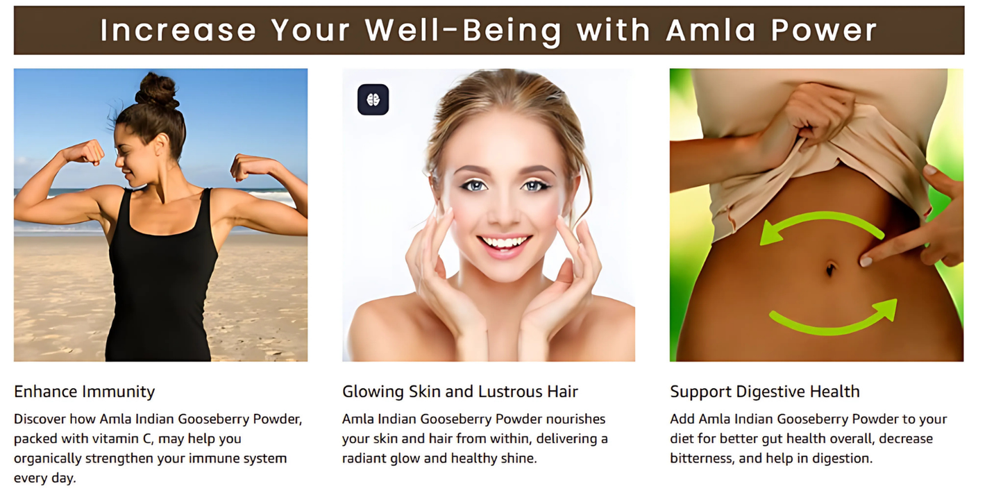 Trivang Pure & Natural Amla Powder