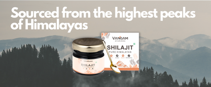 Vangam Pure Himalayan Shilajit