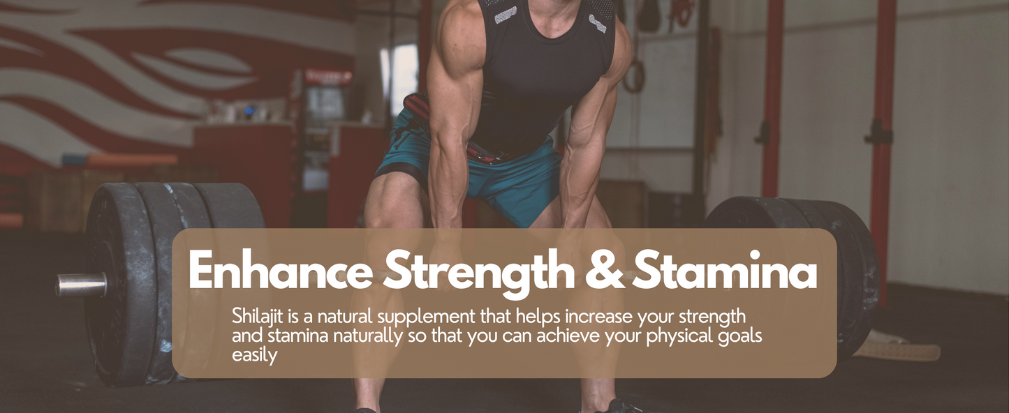 Vangam Pure Himalayan Shilajit