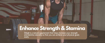 Vangam Pure Himalayan Shilajit