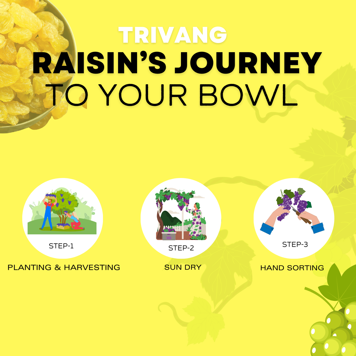 Trivang Premium Raisins