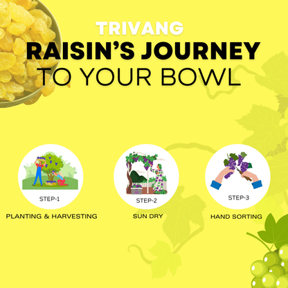 Trivang Premium Raisins