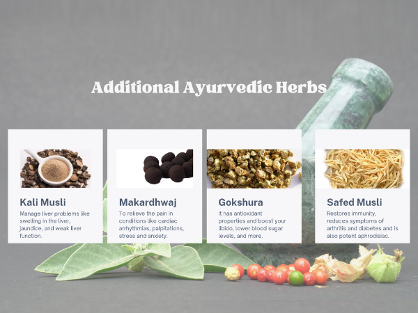 Trivang Himalayan Shilajit Capsules